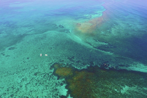 Explore the Barrier Reef