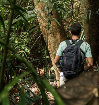 Start your conservation
