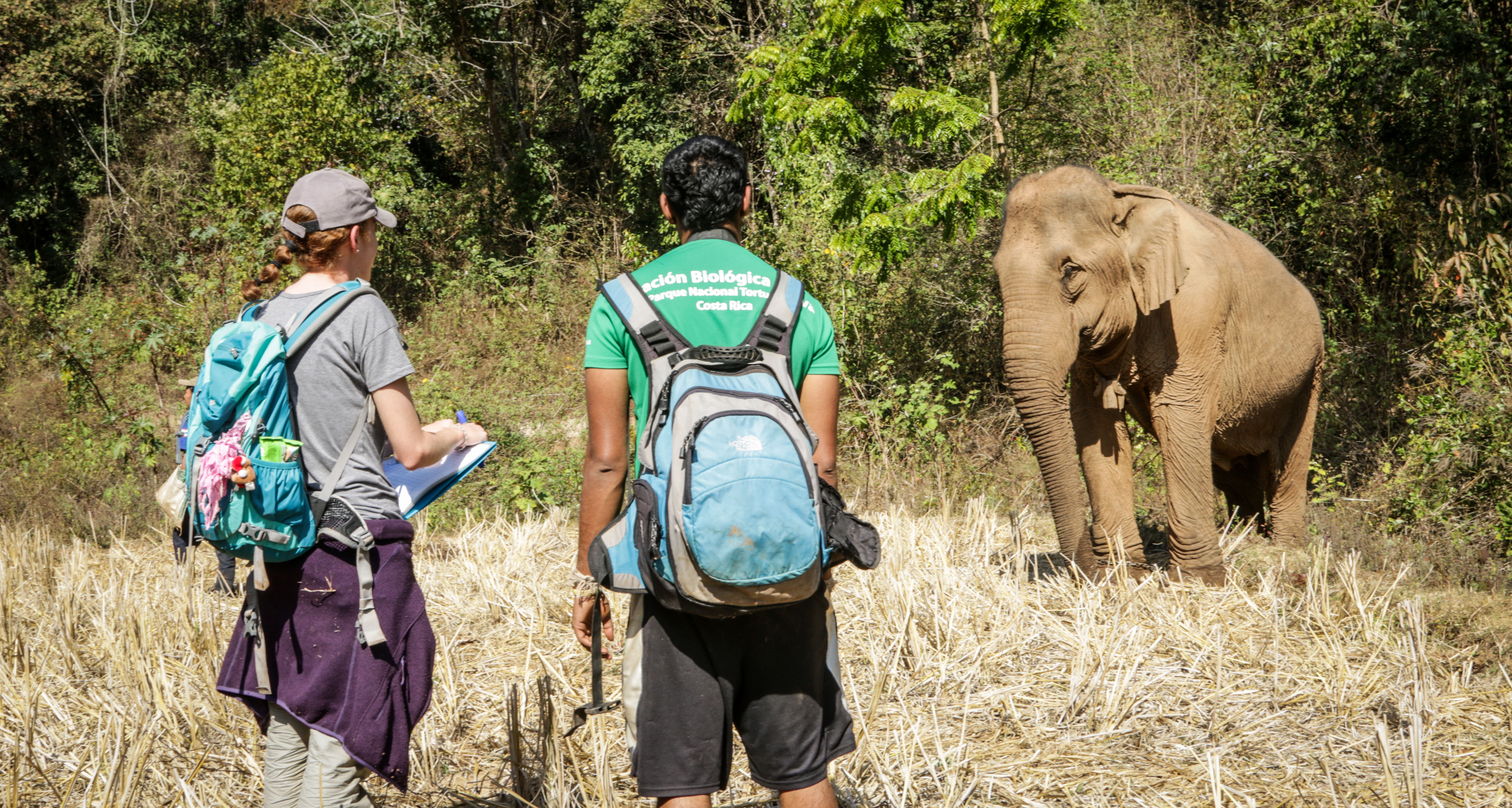 volunteering with animals
