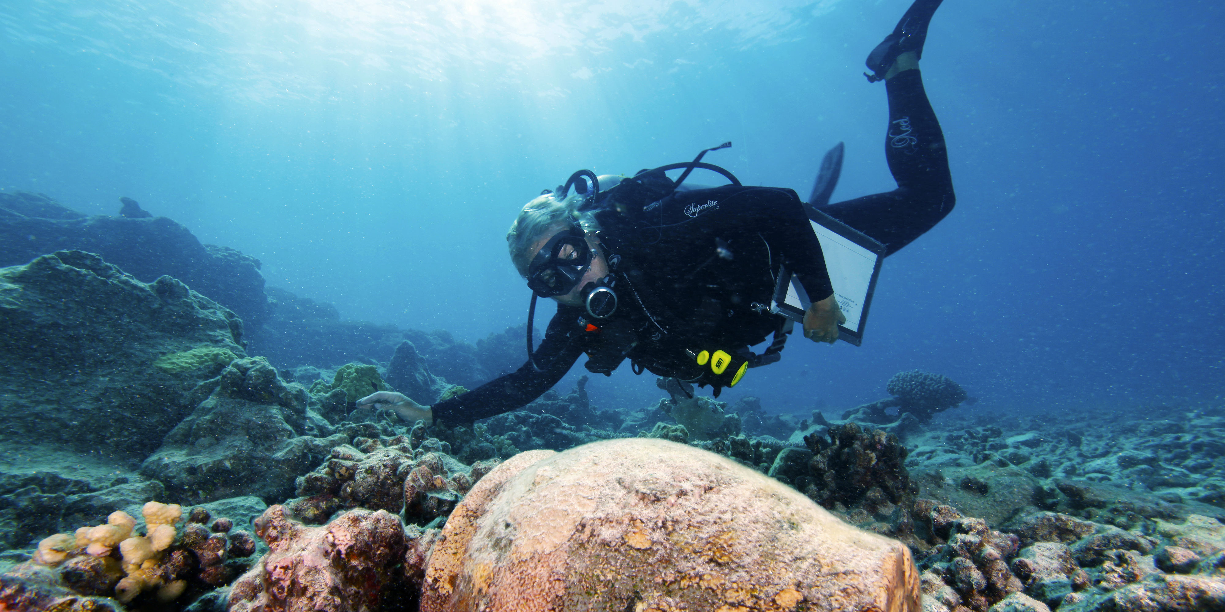 Eight Scuba Diving Jobs You Can Get As A Padi Pro Gvi Can