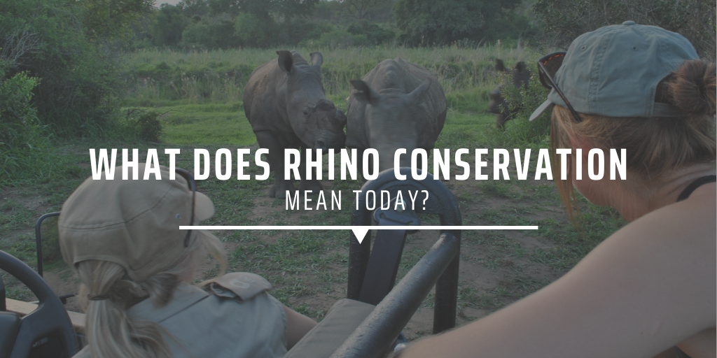 What does rhino conservation mean today