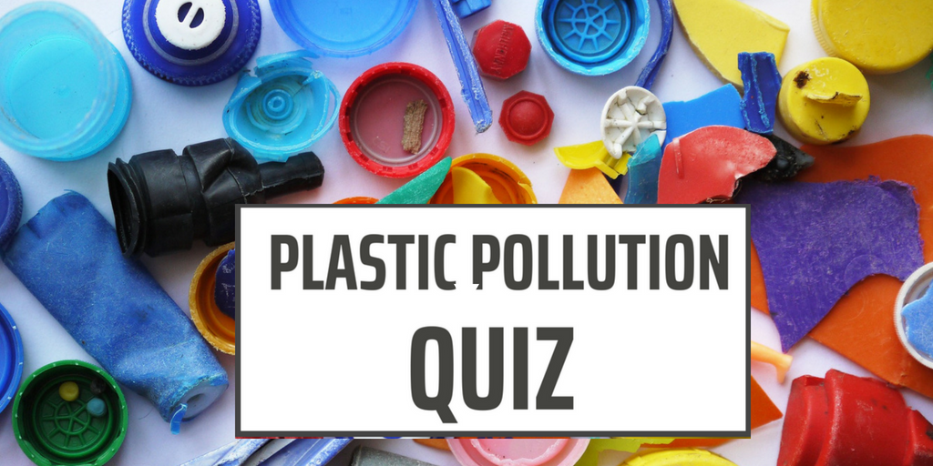 Plastic Pollution Quiz