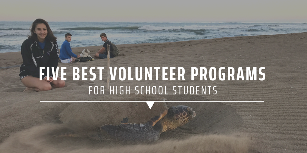 Best volunteer programs for high school students